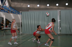 Pré-nationale féminine volley-ball