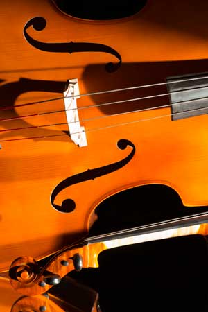 violoncelle ©Pierre MERESSE - JPEG - 17.4 ko