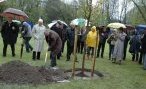 Bernard Auby, maire de Cébazat, recouvre les racines de l'arbre du jumelage, un savonnier planté en souvenir de ce 20ème anniversaire à l'entrée du parc Pierre-Montgroux. - JPEG - 314.9 ko