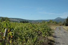 Vue du puy de Dôme depuis un chemin communal situé en bordure de vigne - JPEG - 53.9 ko
